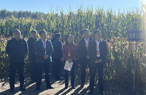 f(xi)M_(ki)չ׸߮a(chn)r}{(dio)